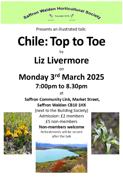 Poster advertising Chile Top to Toe